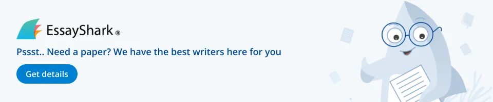 Essay Writing Service